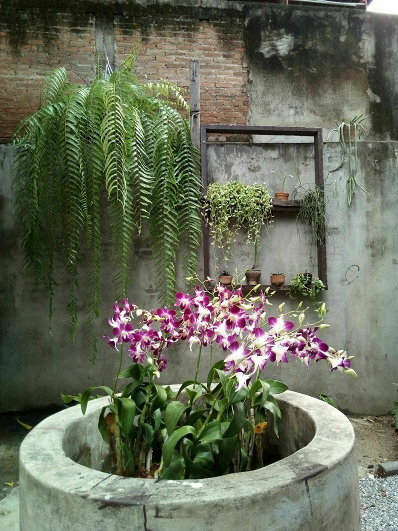Хостел Twin House @ Tapae Чиангмай Экстерьер фото